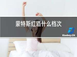 蒙特斯红酒什么档次