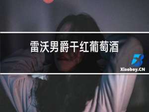 雷沃男爵干红葡萄酒