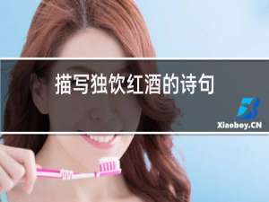 描写独饮红酒的诗句