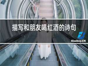 描写和朋友喝红酒的诗句