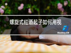 螺旋式红酒起子如何用视频