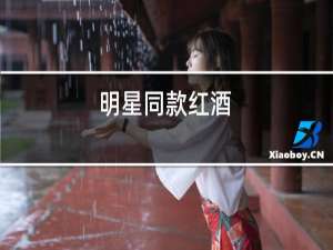 明星同款红酒