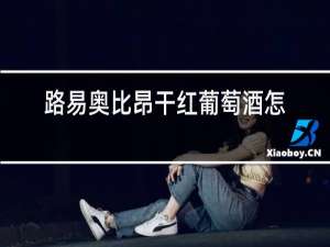 路易奥比昂干红葡萄酒怎么样