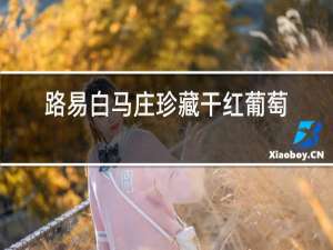 路易白马庄珍藏干红葡萄酒
