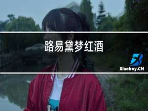 路易黛梦红酒