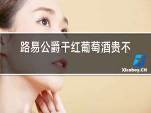 路易公爵干红葡萄酒贵不贵