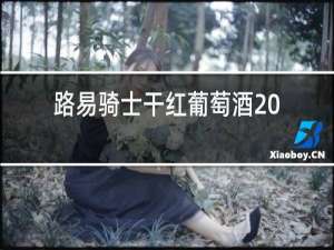 路易骑士干红葡萄酒2008