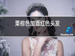 栗棕色加酒红色头发