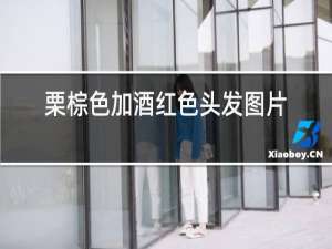 栗棕色加酒红色头发图片