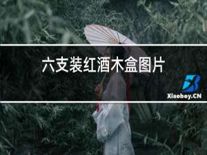 六支装红酒木盒图片