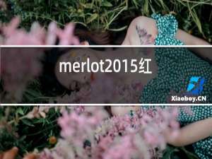 merlot2015红酒