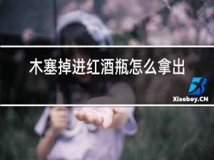 木塞掉进红酒瓶怎么拿出来