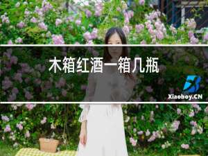 木箱红酒一箱几瓶