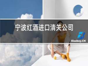 宁波红酒进口清关公司