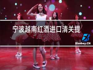 宁波越南红酒进口清关提供资料