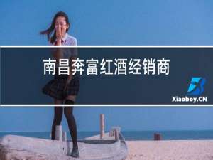 南昌奔富红酒经销商