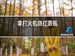 拿打火机烧红酒瓶