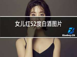 女儿红52度白酒图片
