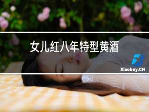 女儿红八年特型黄酒