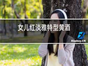 女儿红淡雅特型黄酒
