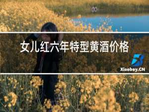 女儿红六年特型黄酒价格