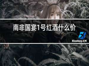 南非国宴1号红酒什么价