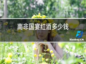 南非国宴红酒多少钱