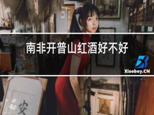 南非开普山红酒好不好