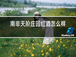 南非天阶庄园红酒怎么样