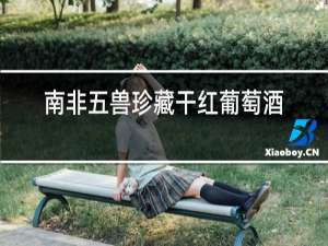 南非五兽珍藏干红葡萄酒2010