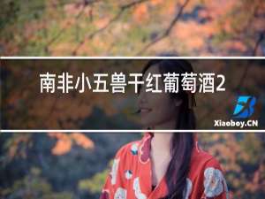 南非小五兽干红葡萄酒2016
