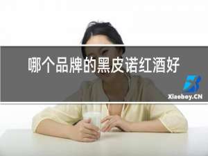 哪个品牌的黑皮诺红酒好喝
