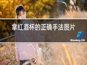拿红酒杯的正确手法图片