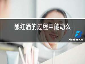 酿红酒的过程中能动么