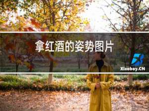 拿红酒的姿势图片