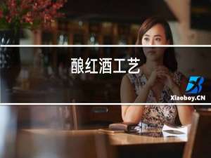 酿红酒工艺