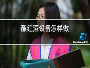 酿红酒设备怎样做