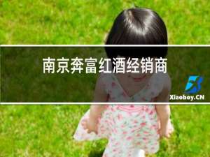 南京奔富红酒经销商