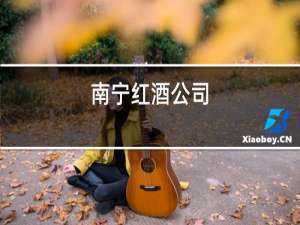 南宁红酒公司