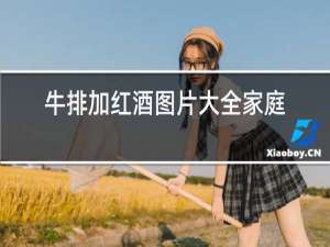牛排加红酒图片大全家庭
