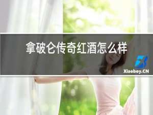 拿破仑传奇红酒怎么样