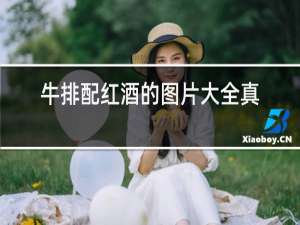 牛排配红酒的图片大全真实
