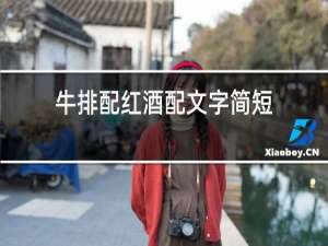 牛排配红酒配文字简短