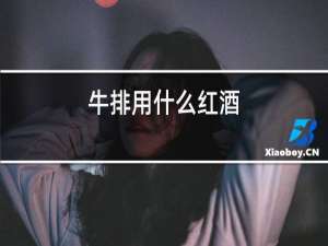 牛排用什么红酒