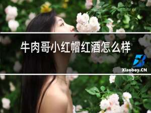 牛肉哥小红帽红酒怎么样