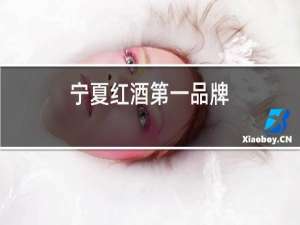 宁夏红酒第一品牌