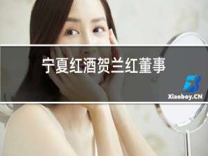 宁夏红酒贺兰红董事