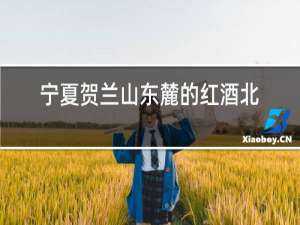 宁夏贺兰山东麓的红酒北翼