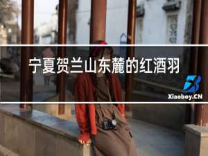 宁夏贺兰山东麓的红酒营销部电话