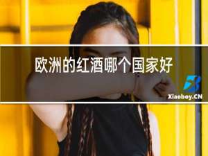 欧洲的红酒哪个国家好